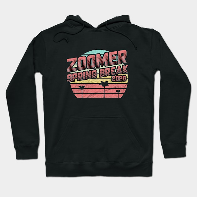 Zoomer Spring Break Hoodie by karutees